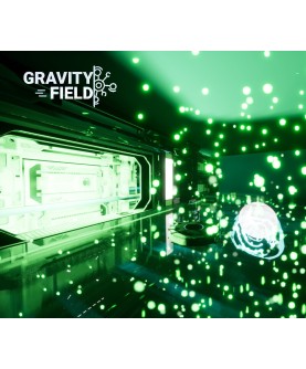 Gravity Field Steam Key GLOBAL